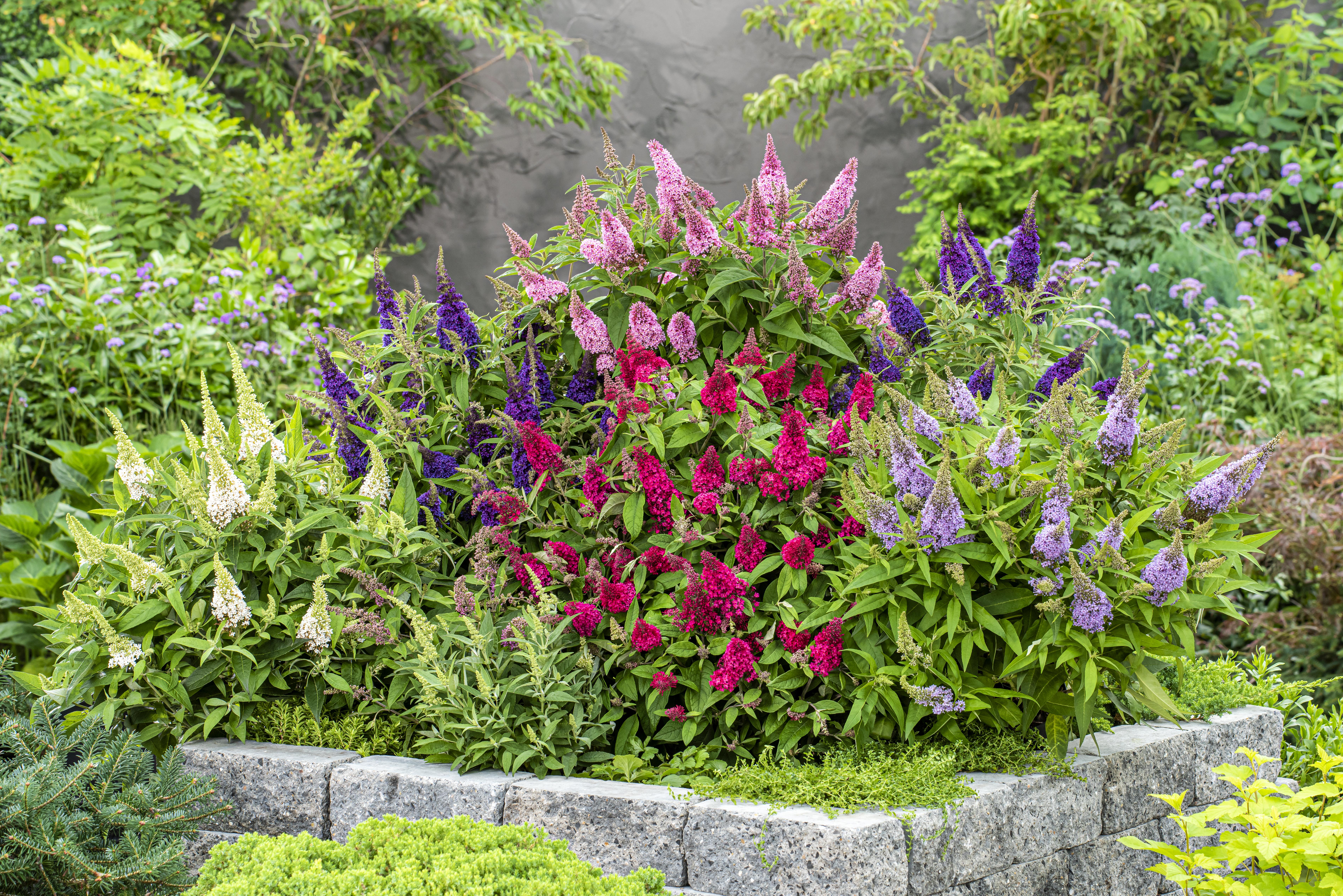 60007673_CLEAN_01 (wecompress.com).jpg