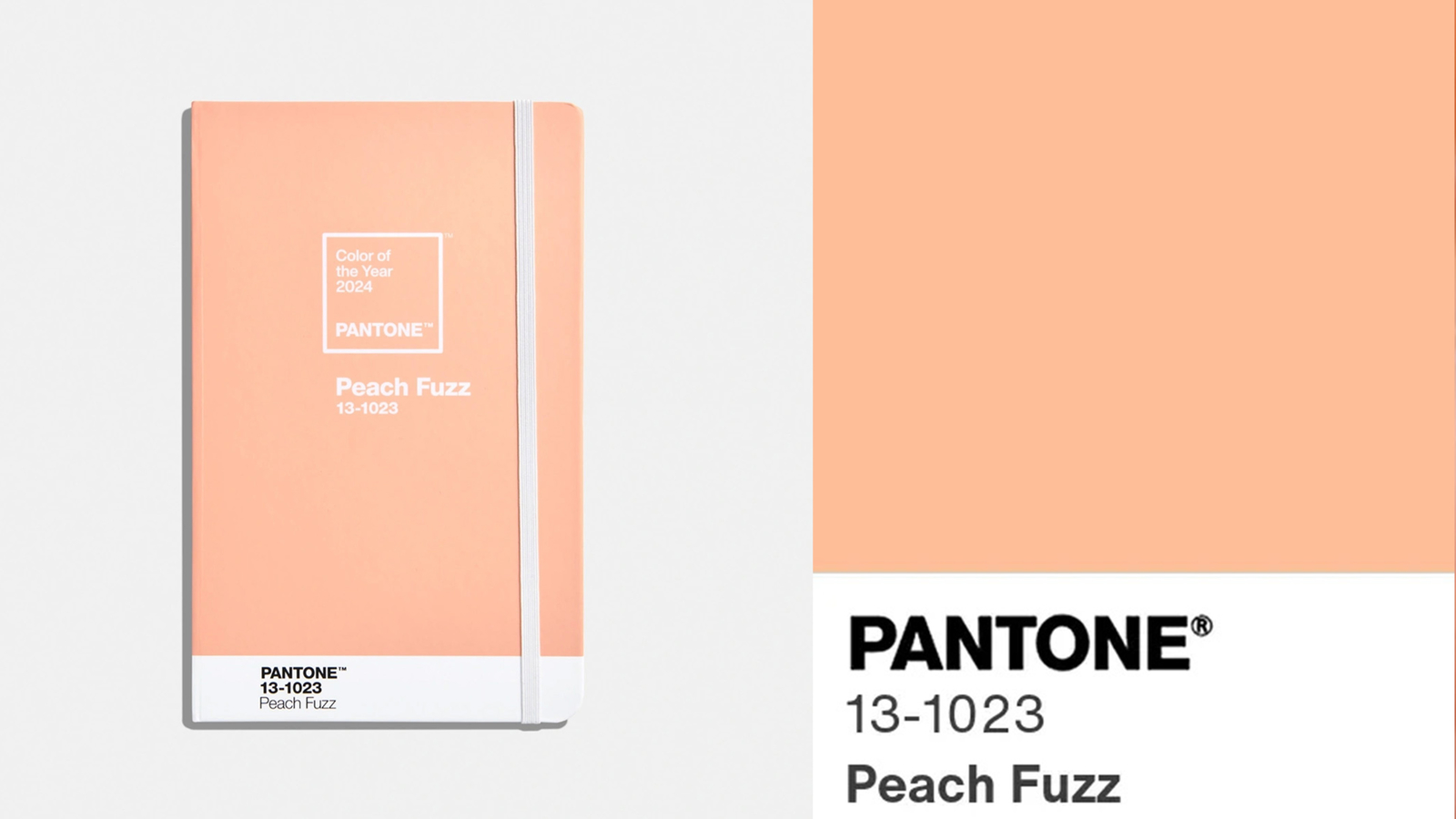 14152347_peach-fuzz.jpg