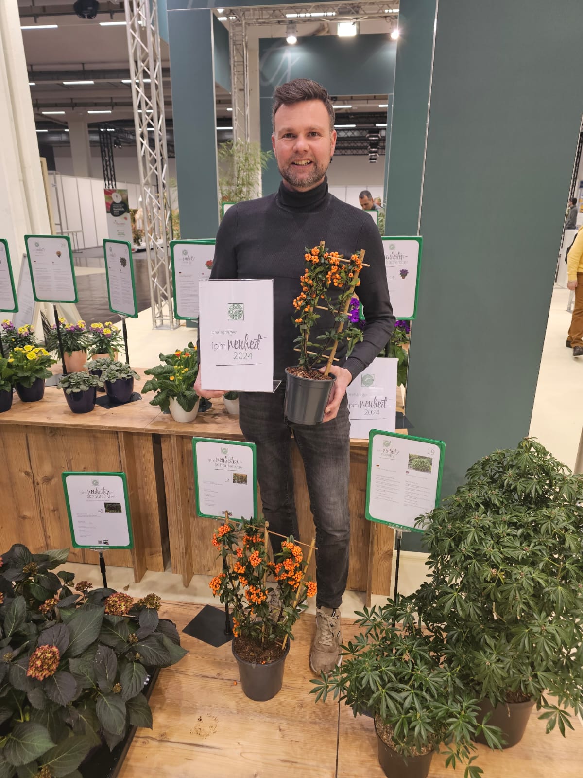 Pyracantha Orange Star2.jpeg