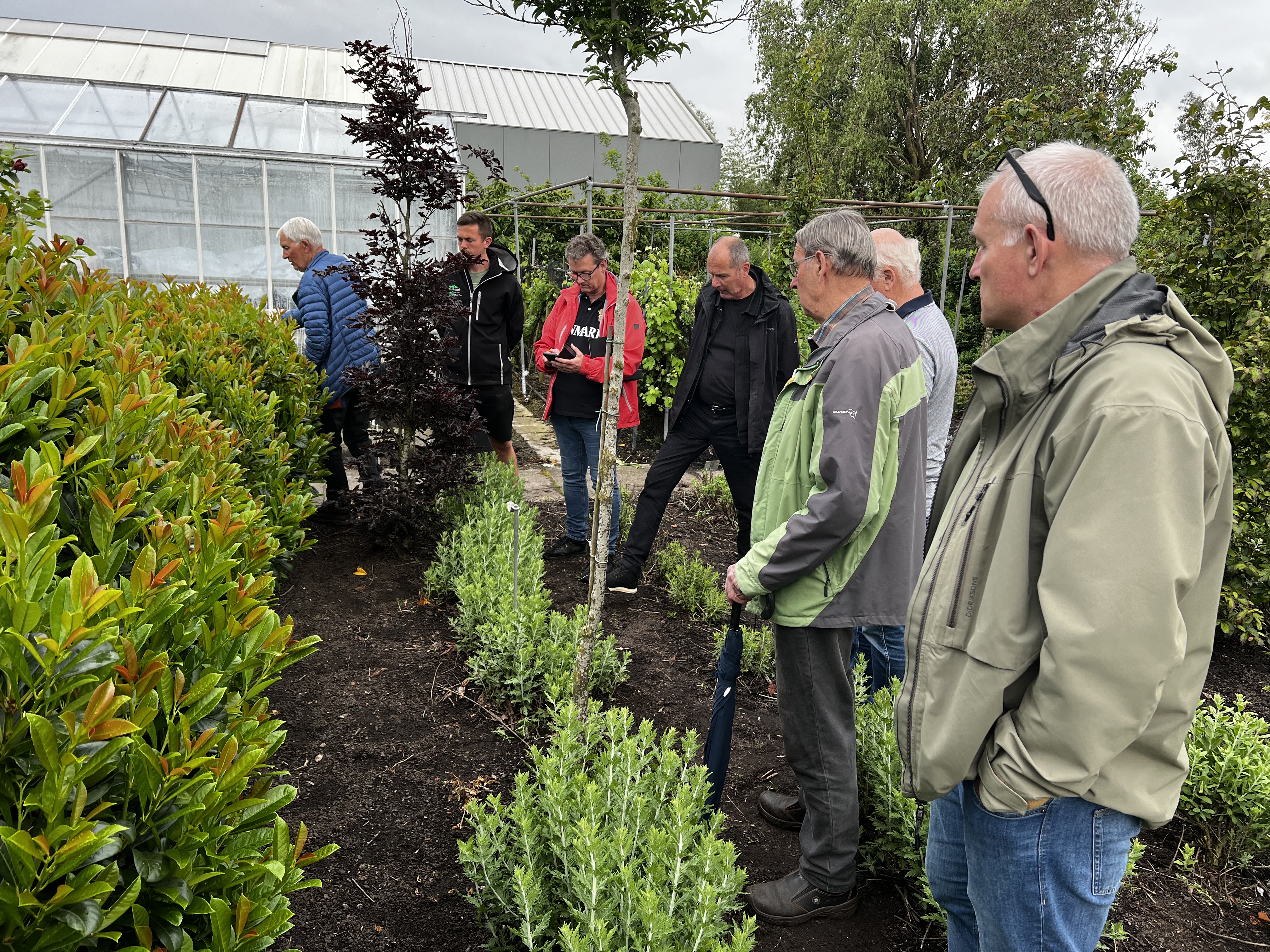 Foto 16-05-2024, 19 15 20.jpg